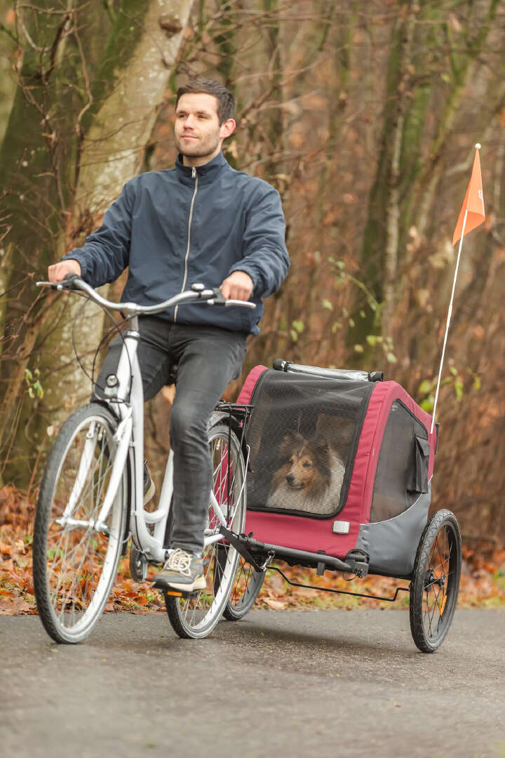 TRIXIE Fahrrad-Anhänger für Hunde